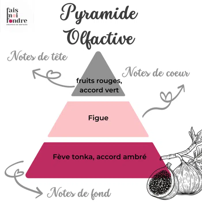 Figue – Image 2