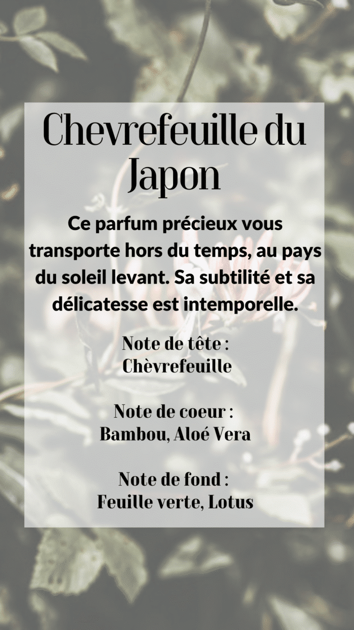 Chèvrefeuille – Image 2
