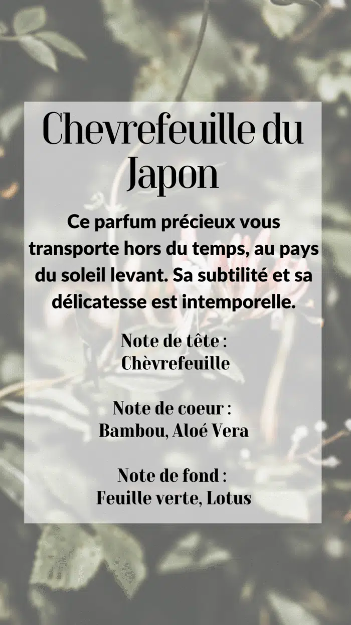 Chèvrefeuille – Image 2