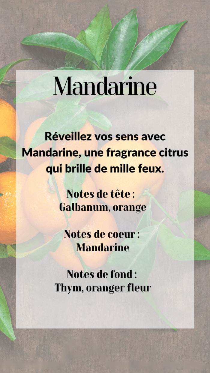 Mandarine – Image 2