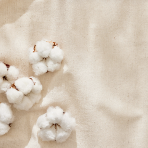 Lait de Coton