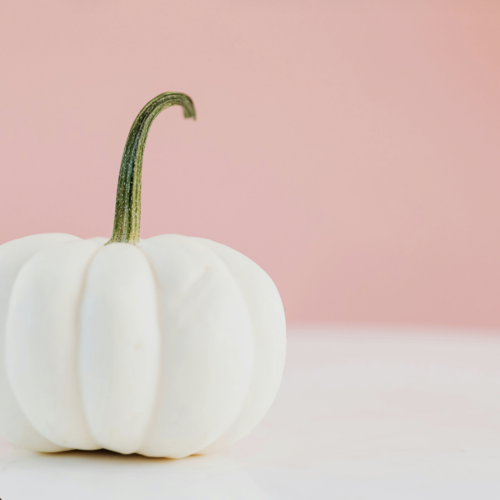 Citrouille Blanche