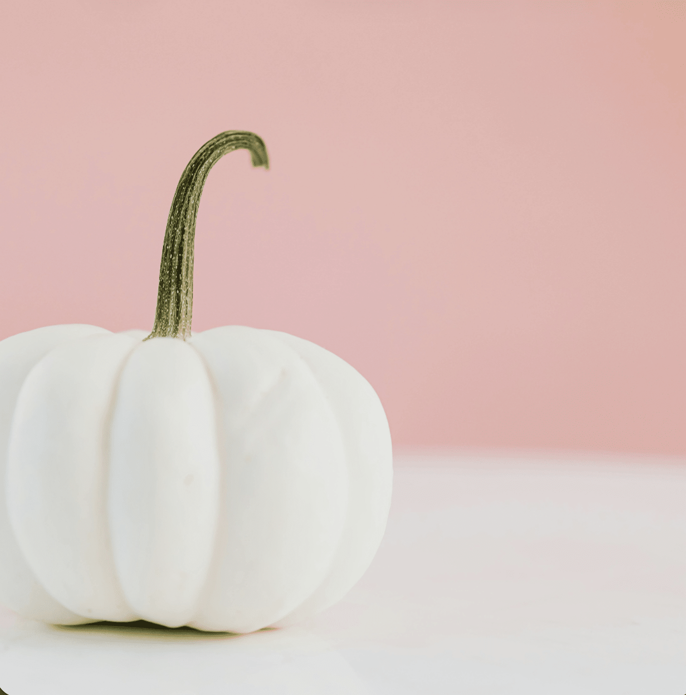 Citrouille Blanche